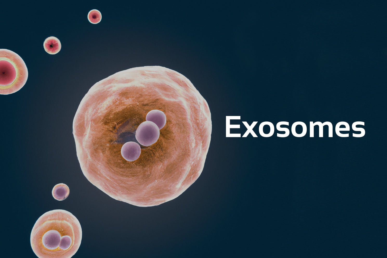 Are Exosomes 2025's Newest Anti-Aging Breakthroughs? - AgeDefy Labs™