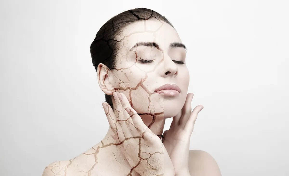 Does Climate Affect Aging? The Role of Environment in Skin Aging - AgeDefy Labs™